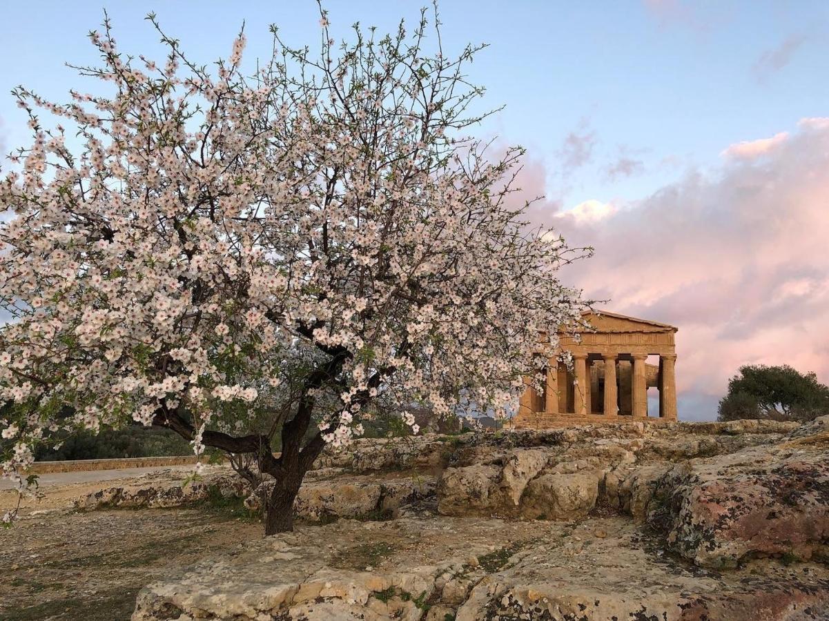 Alfa Quadro Bed & Breakfast Agrigento Eksteriør bilde